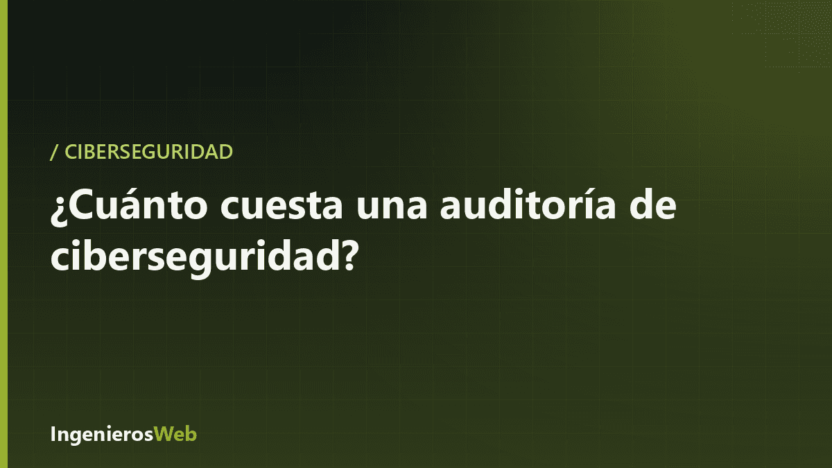 ¿Cuánto cuesta una auditoría de ciberseguridad para una pyme?